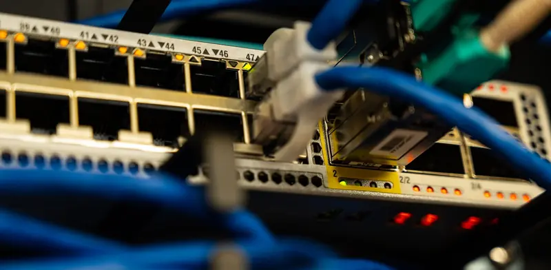 Close-up of blue network cables plugged into a rack-mounted network switch