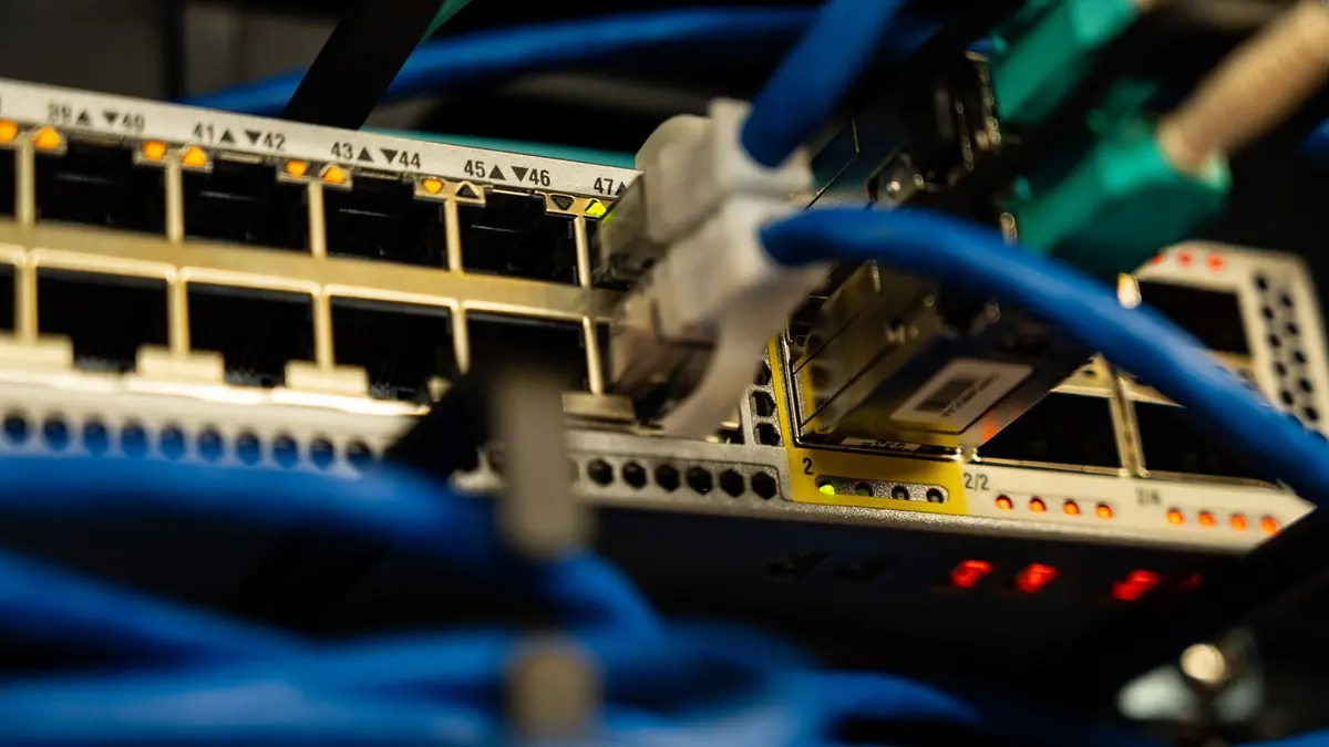 Close-up of blue network cables plugged into a rack-mounted network switch